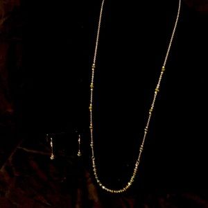 Silver Tone Long Necklace & Earring Set